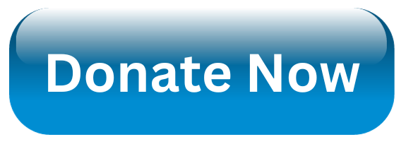 Donate now button